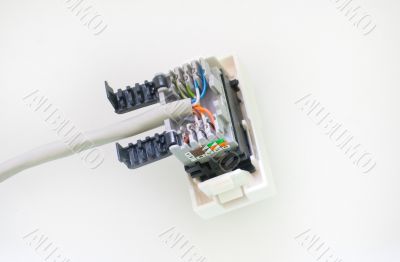 Computer network socket