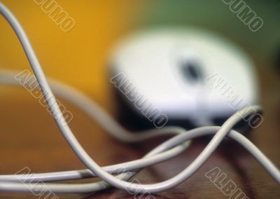 Computer mouse cord