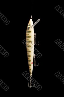 spoon-bait on black