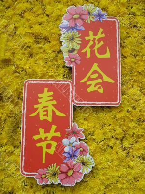 Flower Festival in Chinese Words