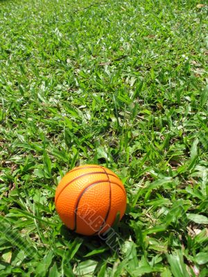 Single Basketball On The Grass Field