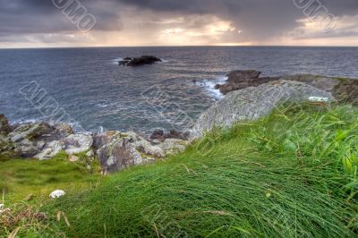 grass and sea