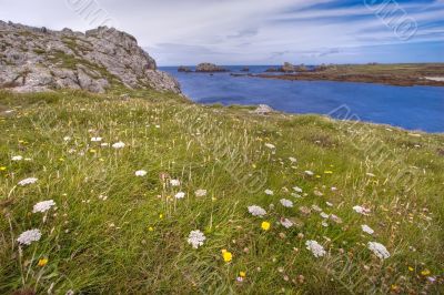 wild flowery coastline hdr