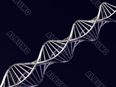 DNA strands