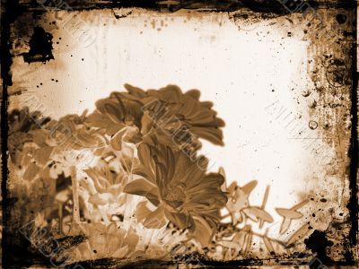Floral grunge
