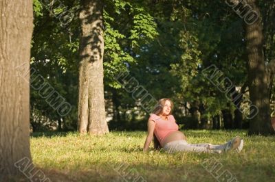 among the trees among the trees