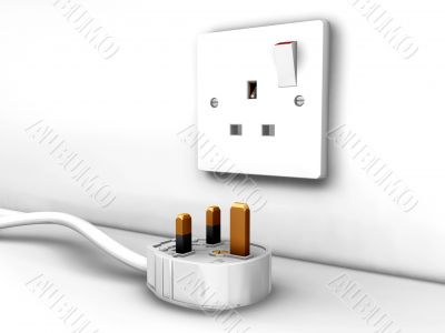 Plug socket and plug