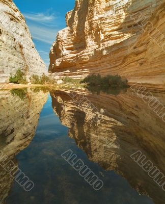 Mirror reflection