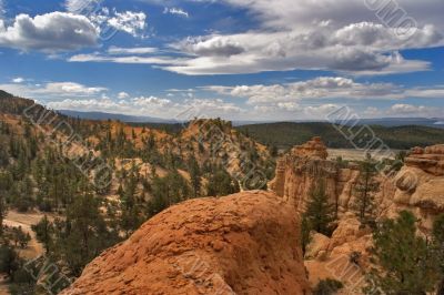 Red mountains and fir forest