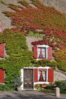 Cosy small house