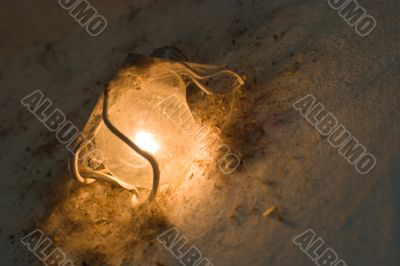 Electric bulb in the dust