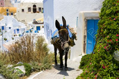 Santorini, Greece Santorini, Greece
