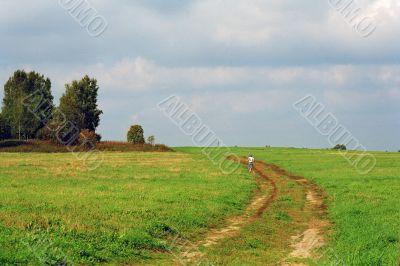 road through a meadow