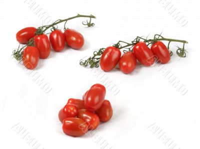 tomato CONTEST