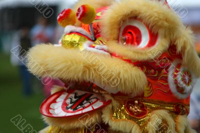 Dancing Lion Dancing Lion