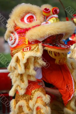 Dancing Lion Dancing Lion