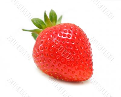 Organic Strawberry