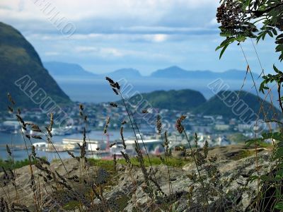 Aalesund panorama