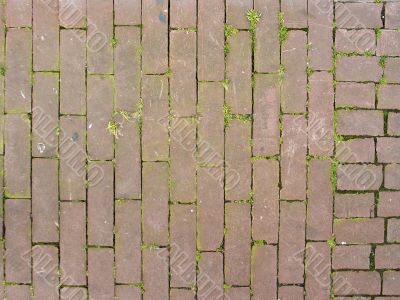 pattern of bricks and grass