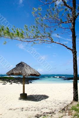 Beach. Mauritius.