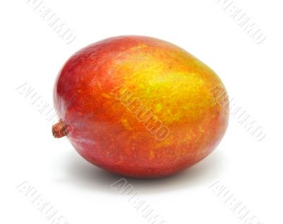 ripe mango