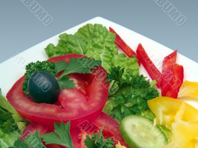 Dietic salad  on white plate