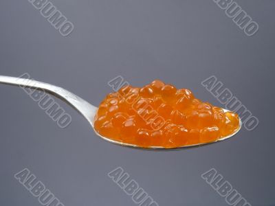 Spoonful of salmon caviar