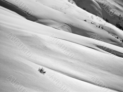 snowfield snowfield