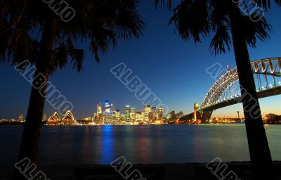 Sydney tropics panorama Sydney tropics panorama