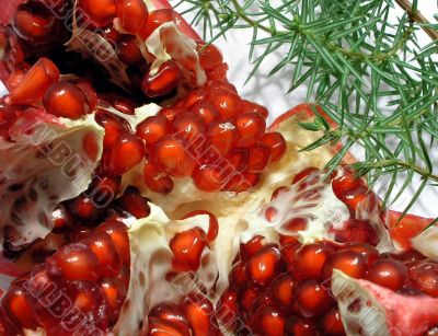 Pomegranate close-up