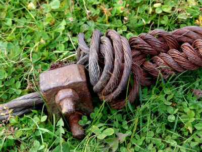   Rust armature in grass