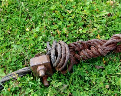   Rust armature in grass