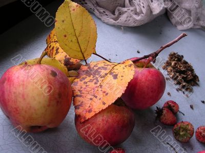 Gifts to the autumn 1