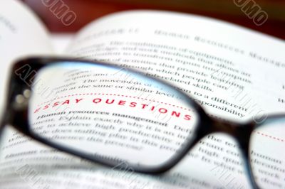 essay essay