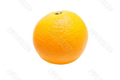 Organic Orange Organic Orange