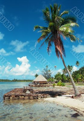 Beach Front in Bora Bora