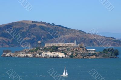 Alcatraz island