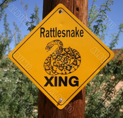Snake Warning Sign in Desert