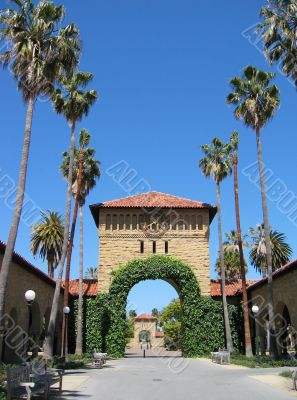 Stanford University Campus