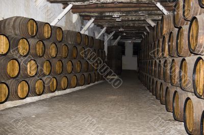 wine cellar