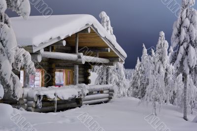 forest cottage forest cottage