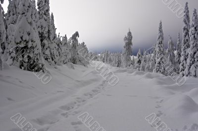 snow road