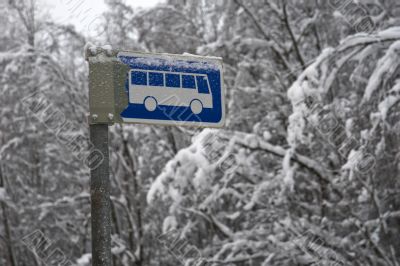 bus-stop picture