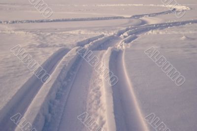 tracks on snow