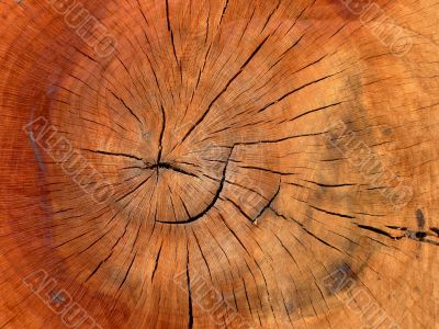 wooden trunk