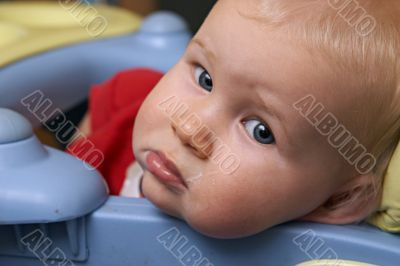 cheeks cheeks