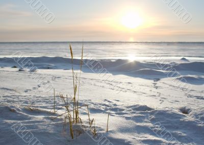 cold sunset cold sunset