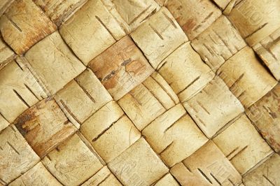 wicker birch texture