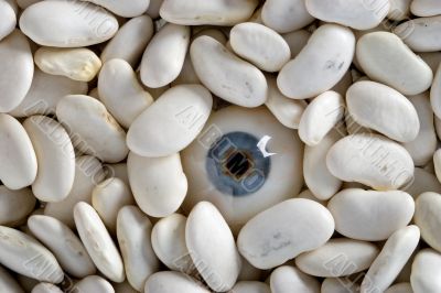 human eye and white haricot beans human eye and white haricot beans