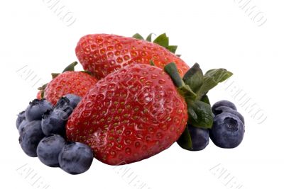 Fruit Series (Isolated blueberries and strawberries)